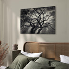 Lighted Tree Branches Nature Canvas Print