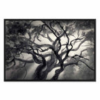 Lighted Tree Branches Nature Canvas Print