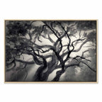 Lighted Tree Branches Nature Canvas Print