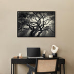 Lighted Tree Branches Nature Canvas Print