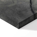 Lighted Tree Branches Nature Canvas Print