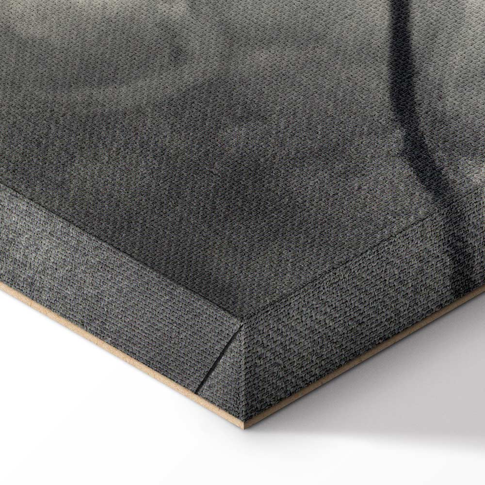 Lighted Tree Branches Nature Canvas Print