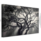 Lighted Tree Branches Nature Canvas Print