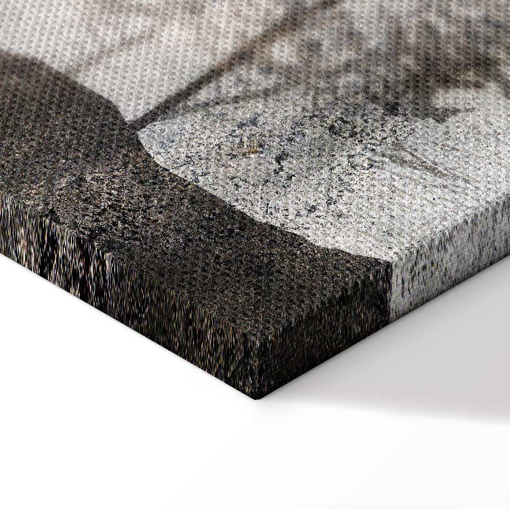 Forest Texture Trees Nature Canvas Print