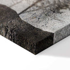 Forest Texture Trees Nature Canvas Print