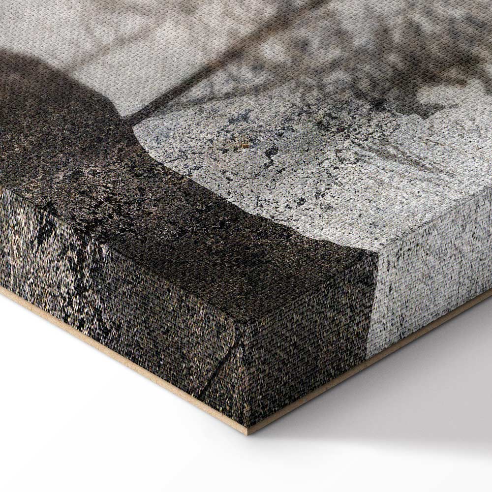 Forest Texture Trees Nature Canvas Print