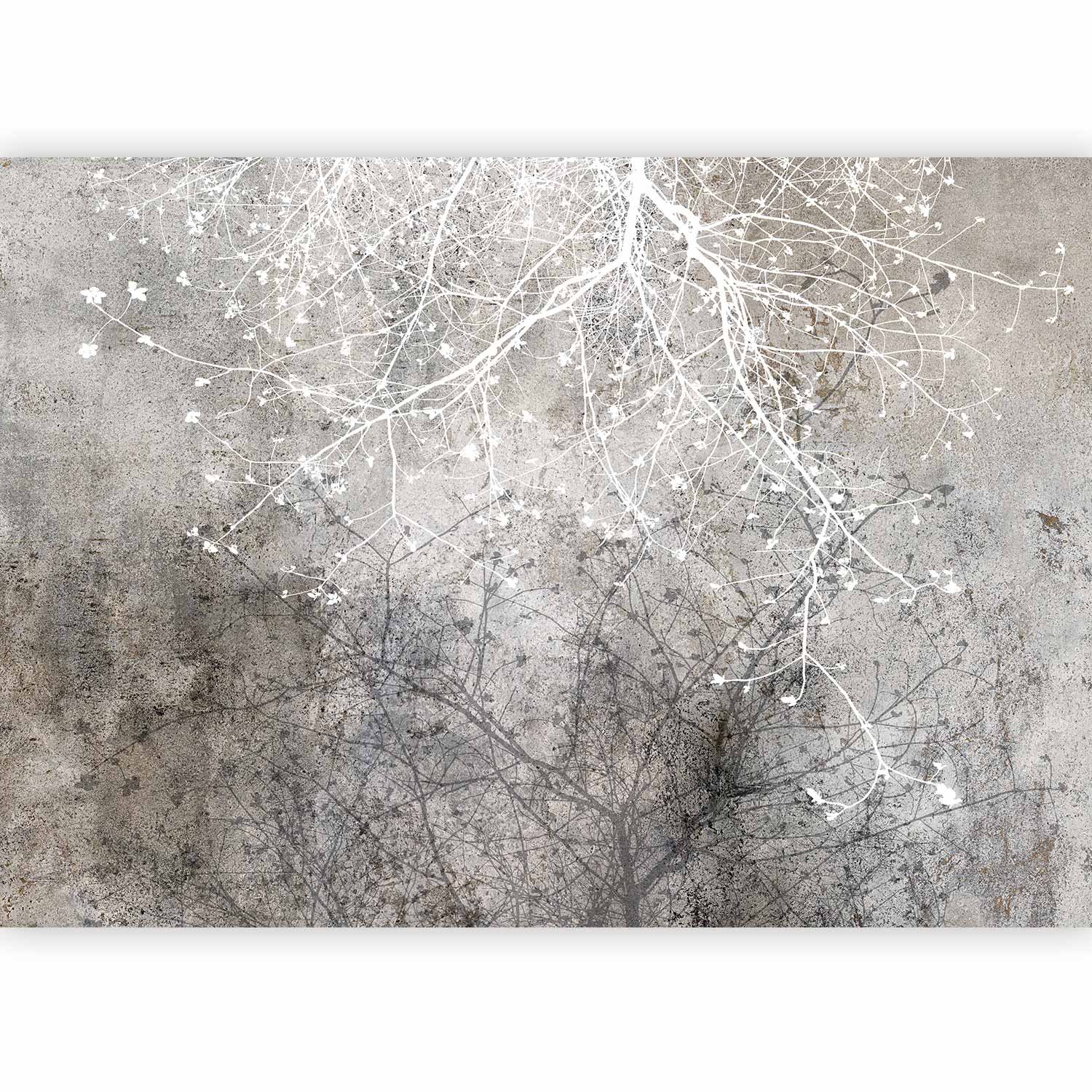 Clear Branching Abstract Nature Wall Mural