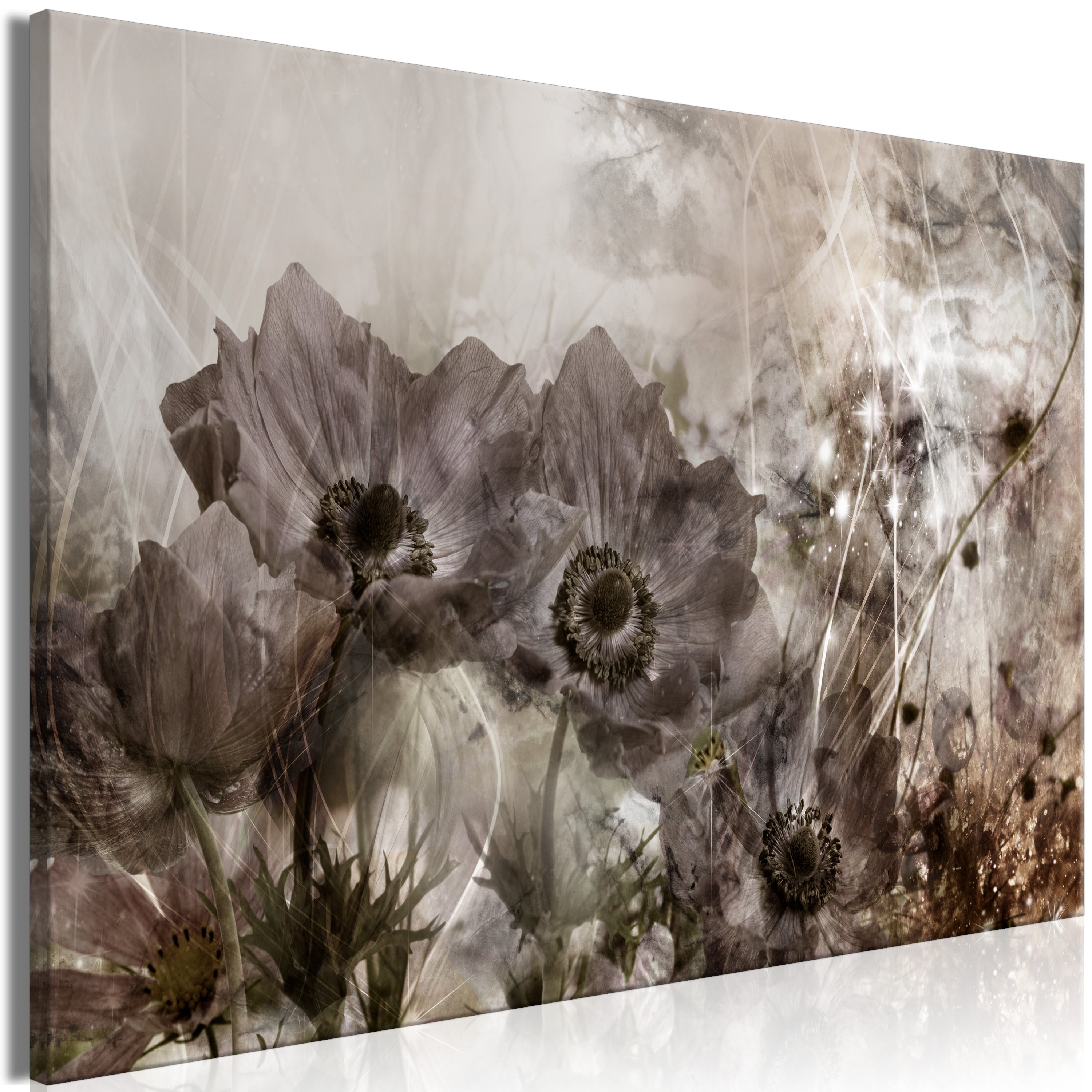 Canvas Print Anemones in Sepia Wide