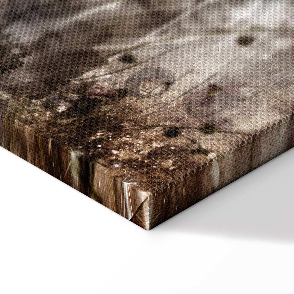 Sepia Anemones Floral Canvas Print