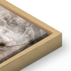 Sepia Anemones Floral Canvas Print