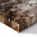 Sepia Anemones Floral Canvas Print