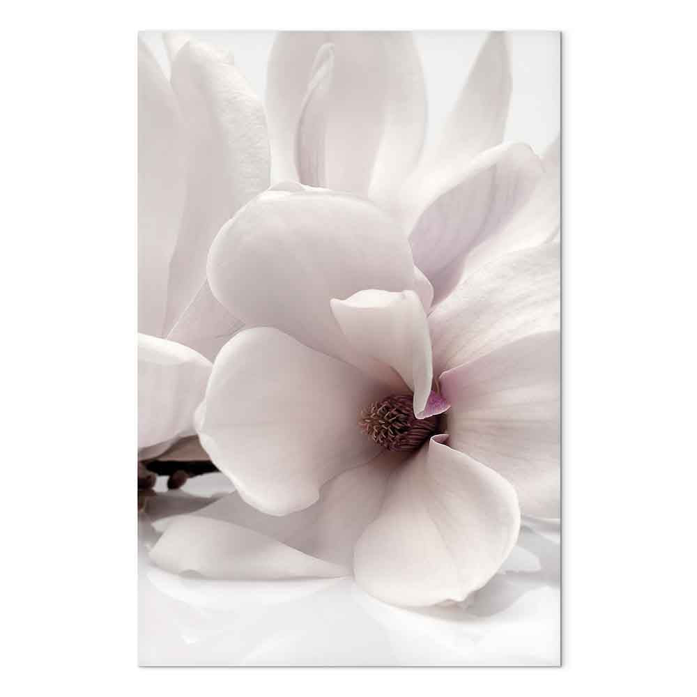 Magnolia Flowers Blooming Light Vertical Canvas Print