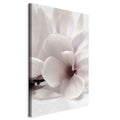 Magnolia Flowers Blooming Light Vertical Canvas Print
