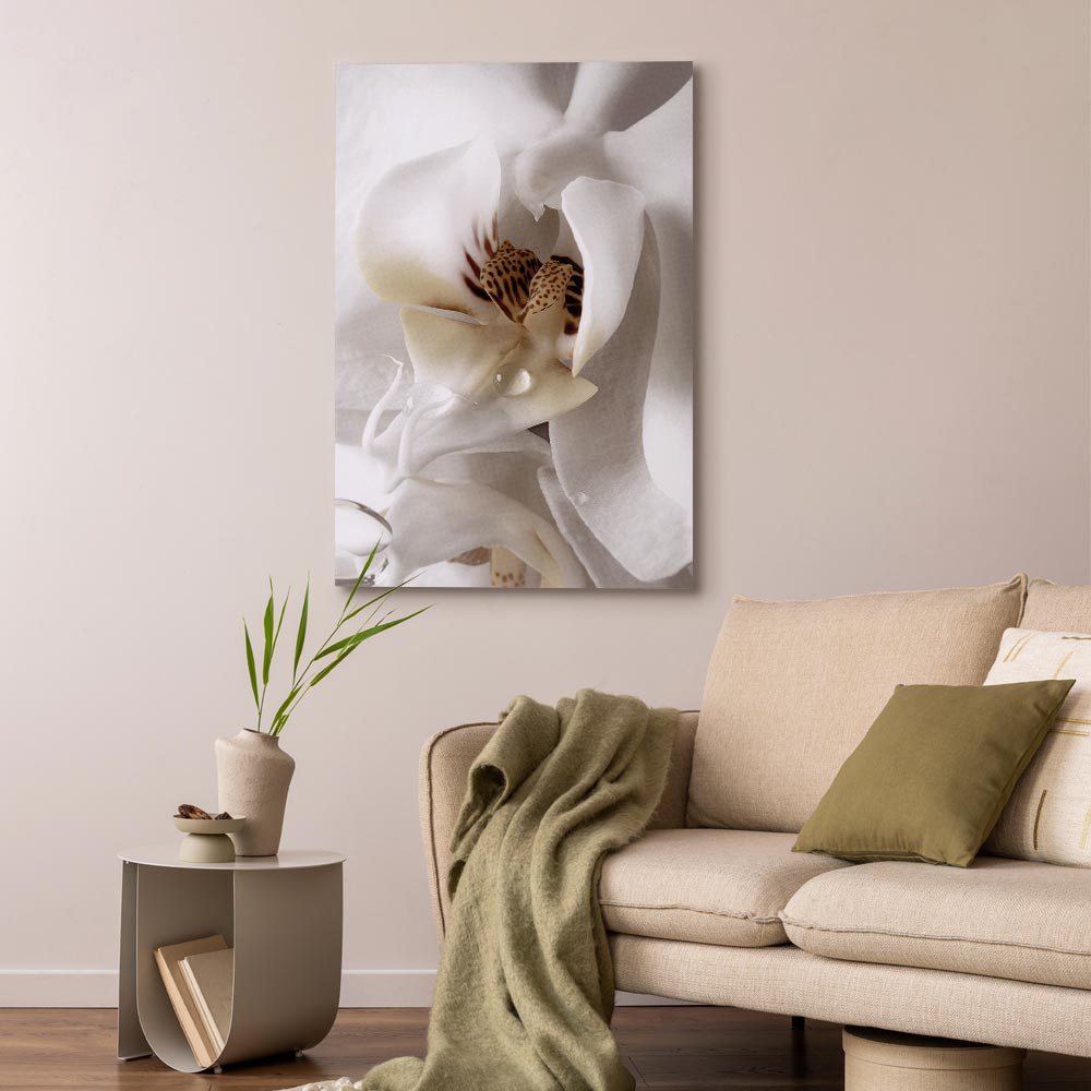 Magnolia Flower Nature Canvas Print