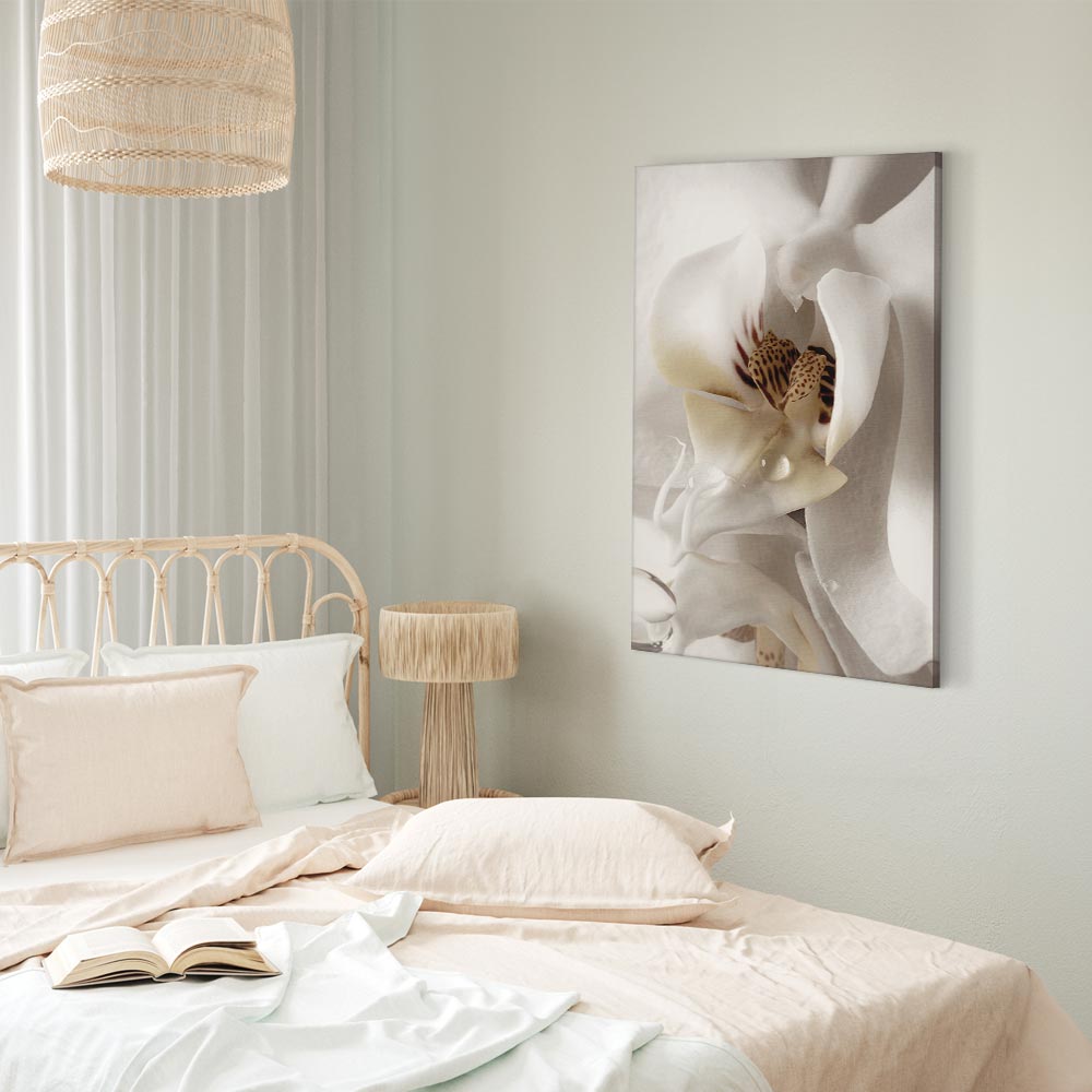 Magnolia Flower Nature Canvas Print