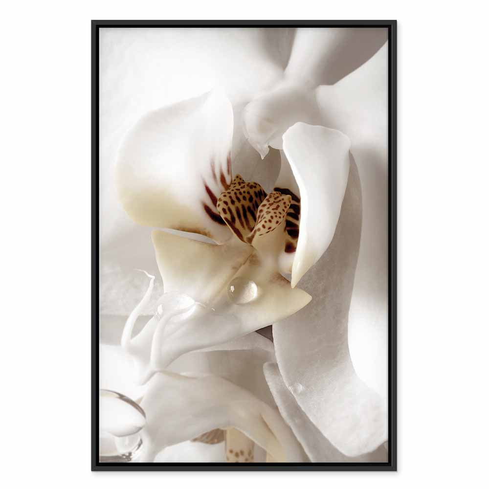 Magnolia Flower Nature Canvas Print