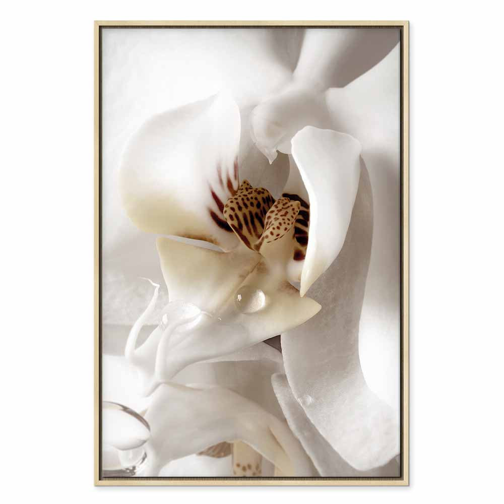 Magnolia Flower Nature Canvas Print