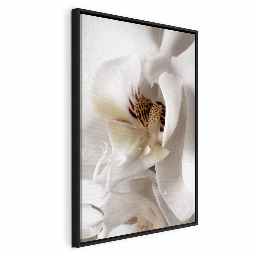 Magnolia Flower Nature Canvas Print