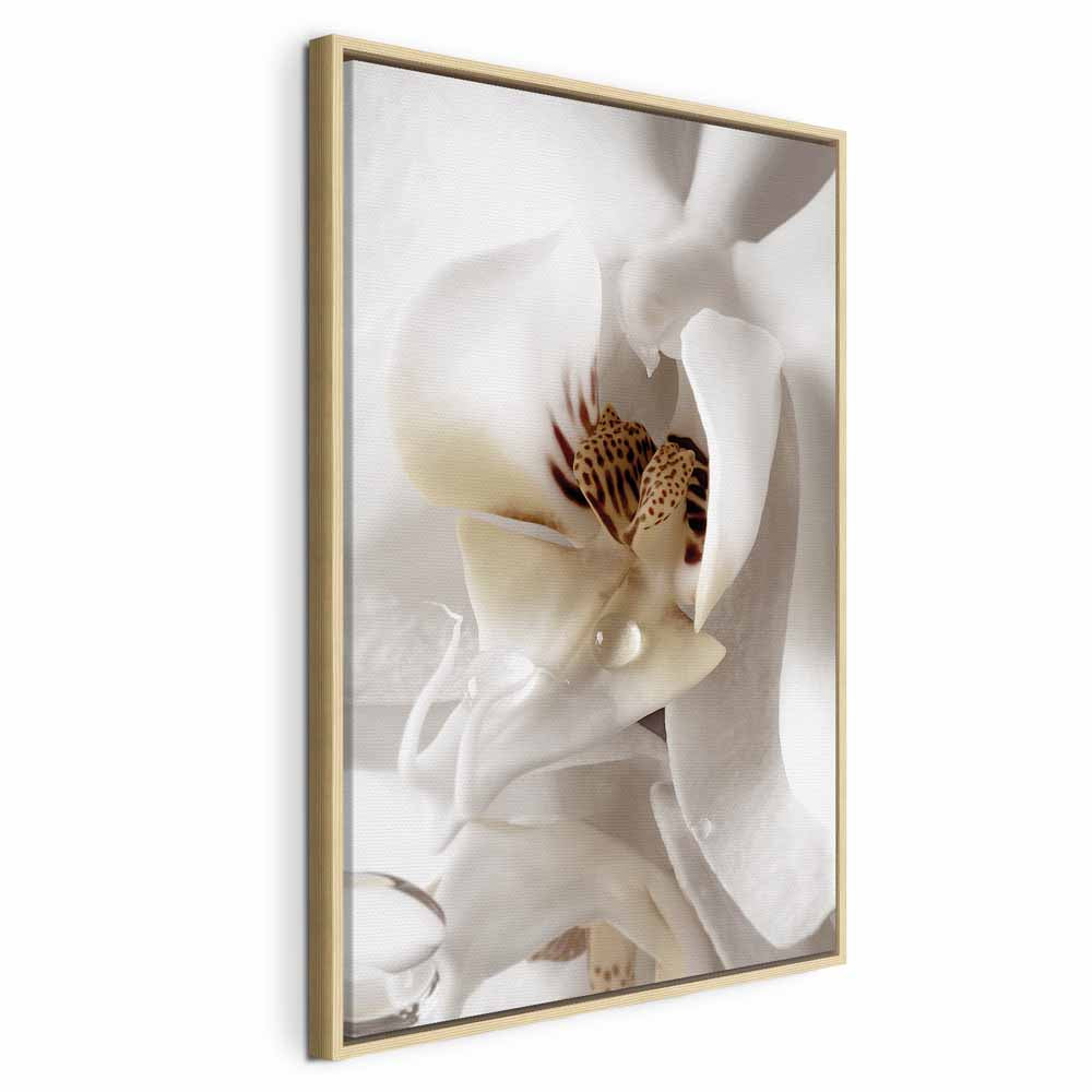 Magnolia Flower Nature Canvas Print