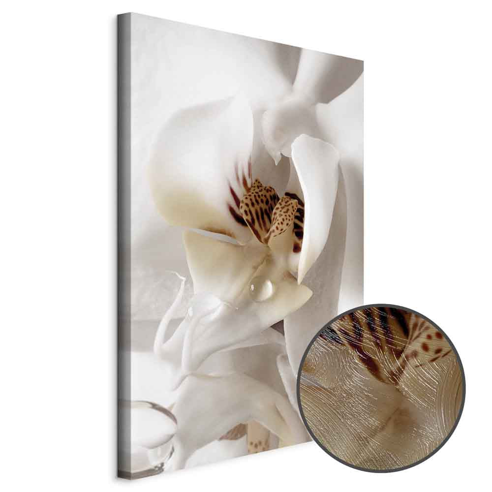 Magnolia Flower Nature Canvas Print