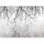 Sunlit Forest Trees Nature Wall Mural