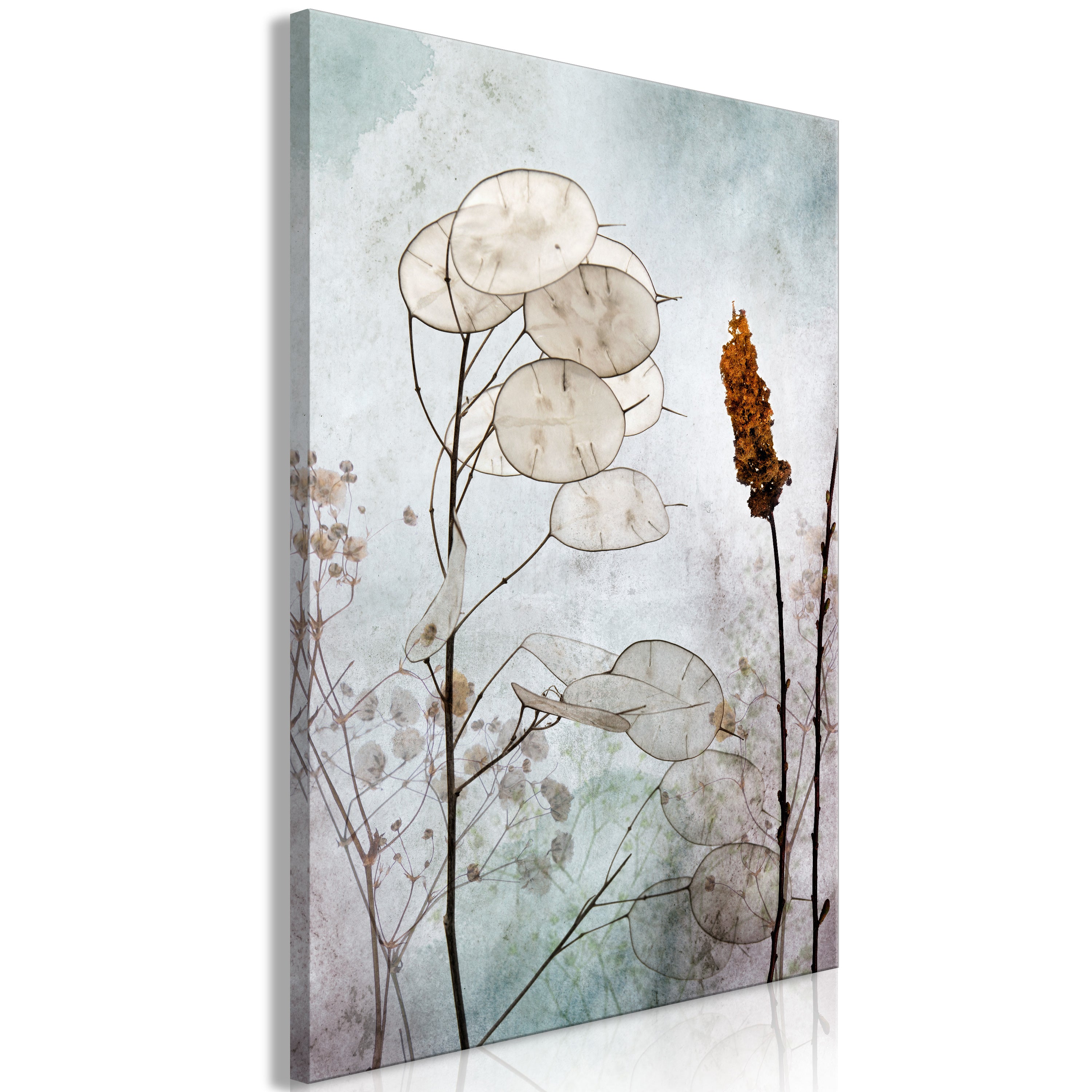 Canvas Print Lunaria Fruits (1 Part) Vertical
