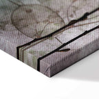 Lunaria Fruits Botanical Vertical Canvas Print