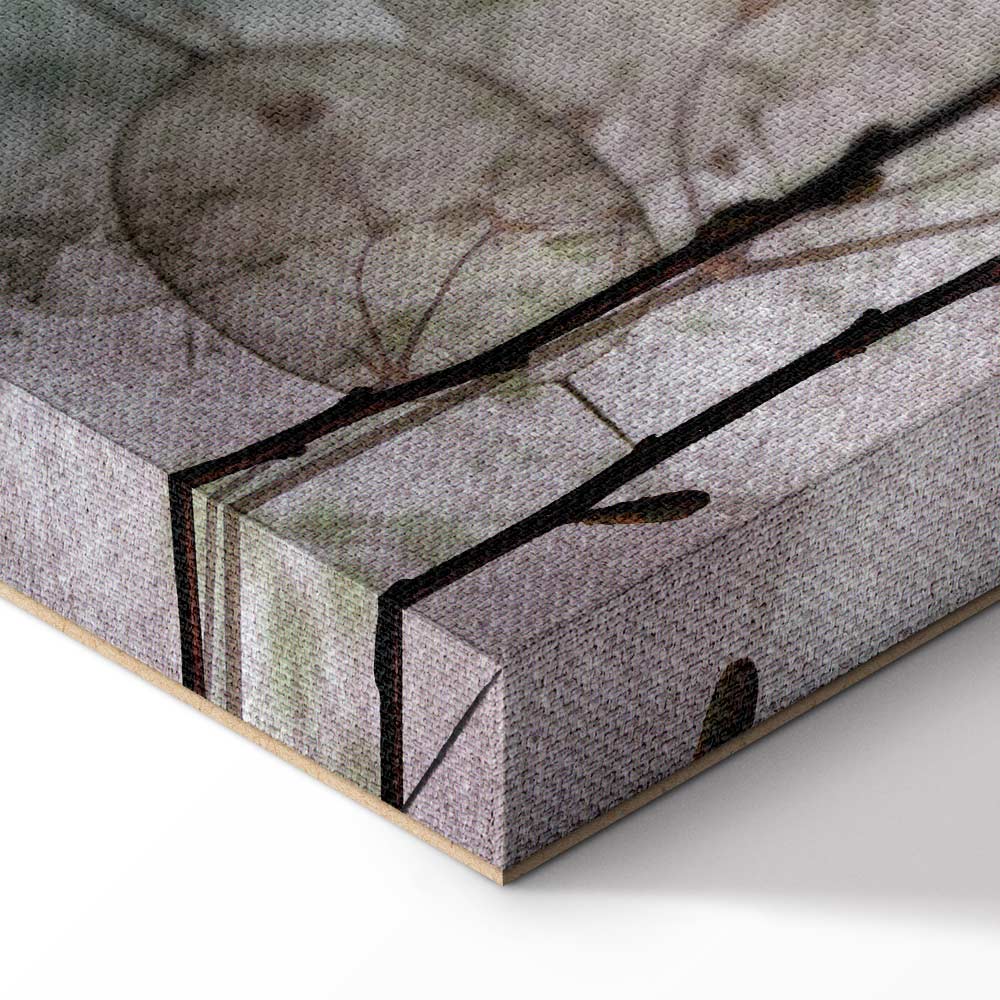 Lunaria Fruits Botanical Vertical Canvas Print