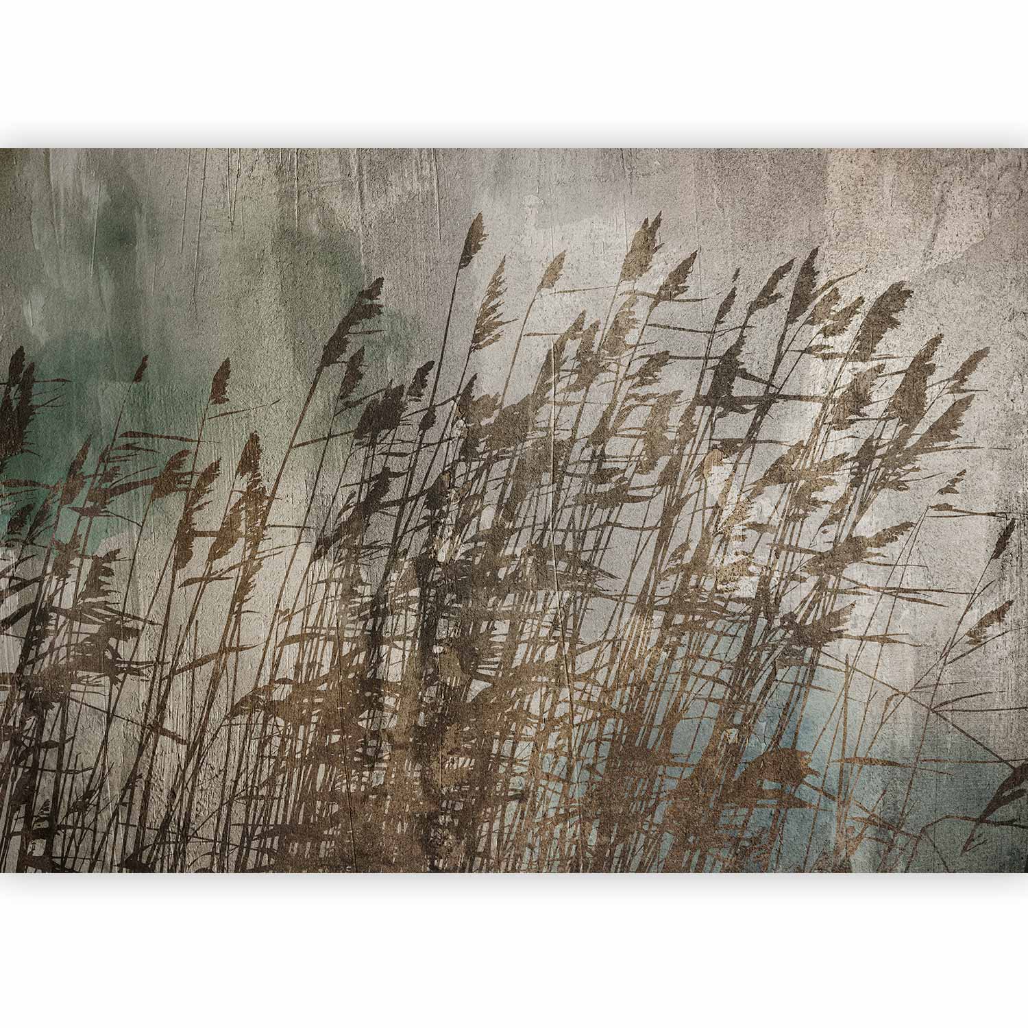 Water Grasses Field Nature Wall Mural