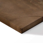 Golden Dandelions Floral Canvas Print