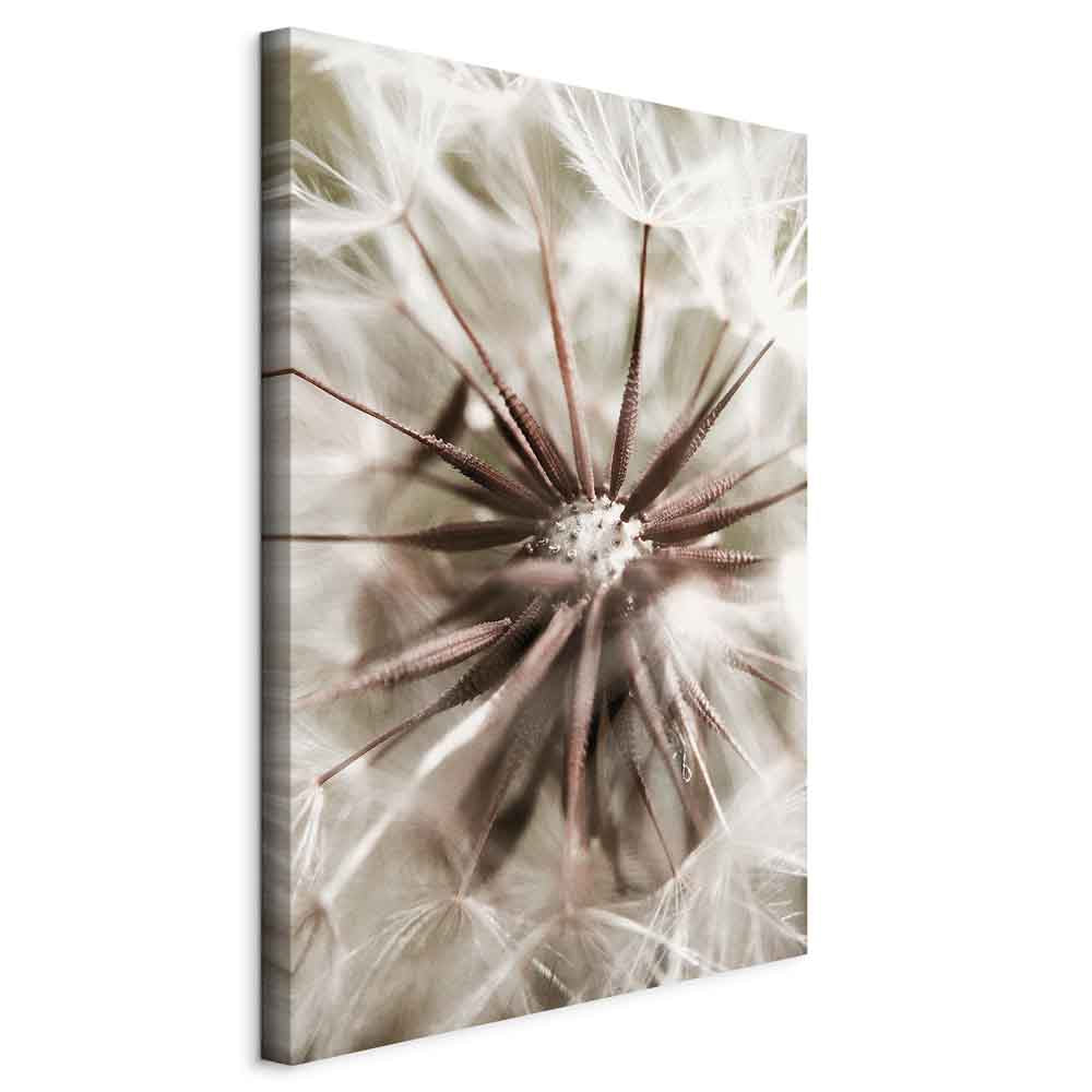 Dandelion Flowers Nature Photo Canvas Print