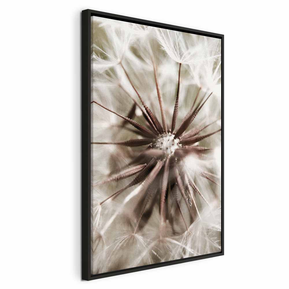 Dandelion Flowers Nature Photo Canvas Print