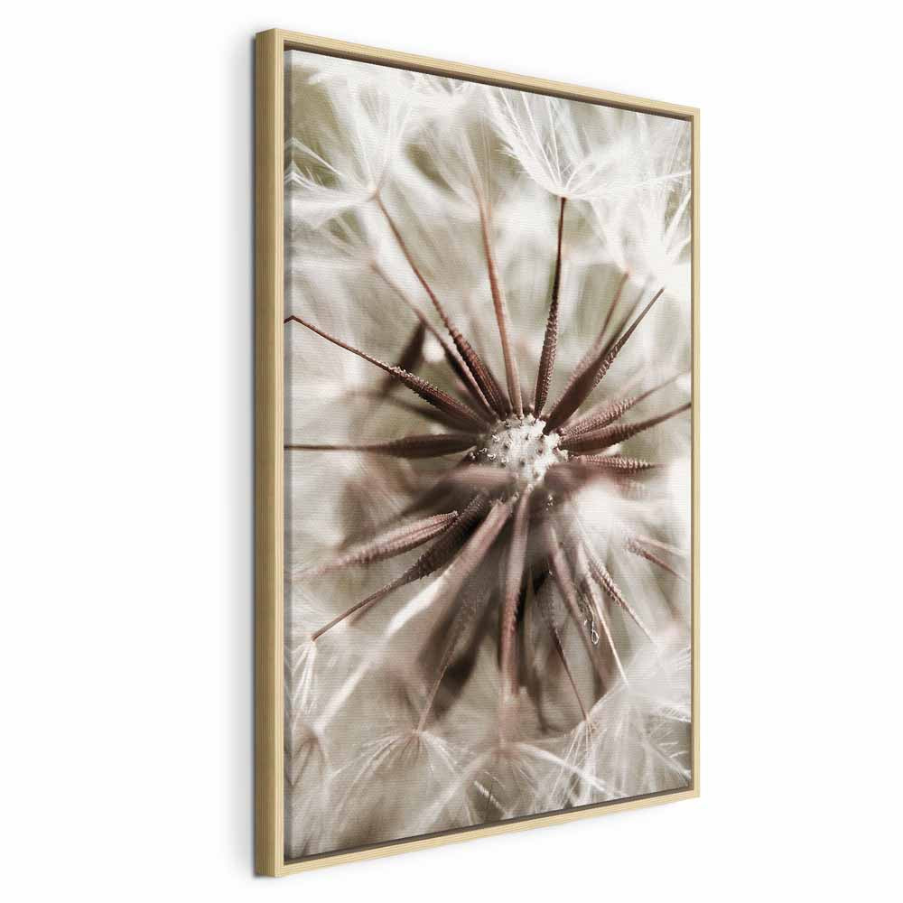 Dandelion Flowers Nature Photo Canvas Print