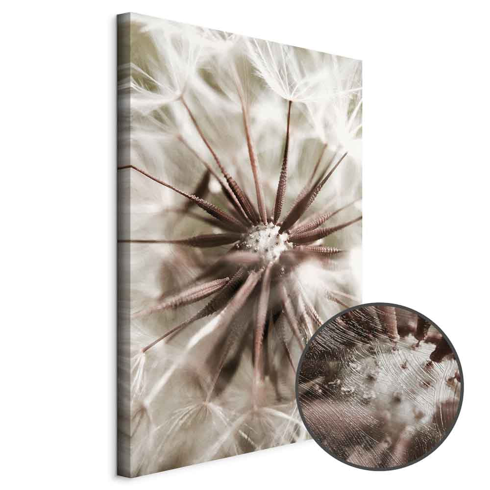 Dandelion Flowers Nature Photo Canvas Print