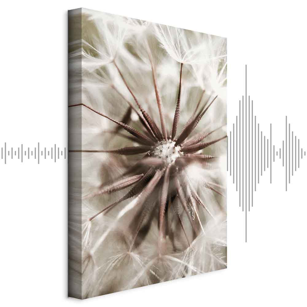 Dandelion Flowers Nature Photo Canvas Print