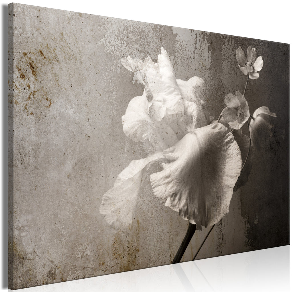 Canvas Print Venetian Splendor Wide - 1 Part