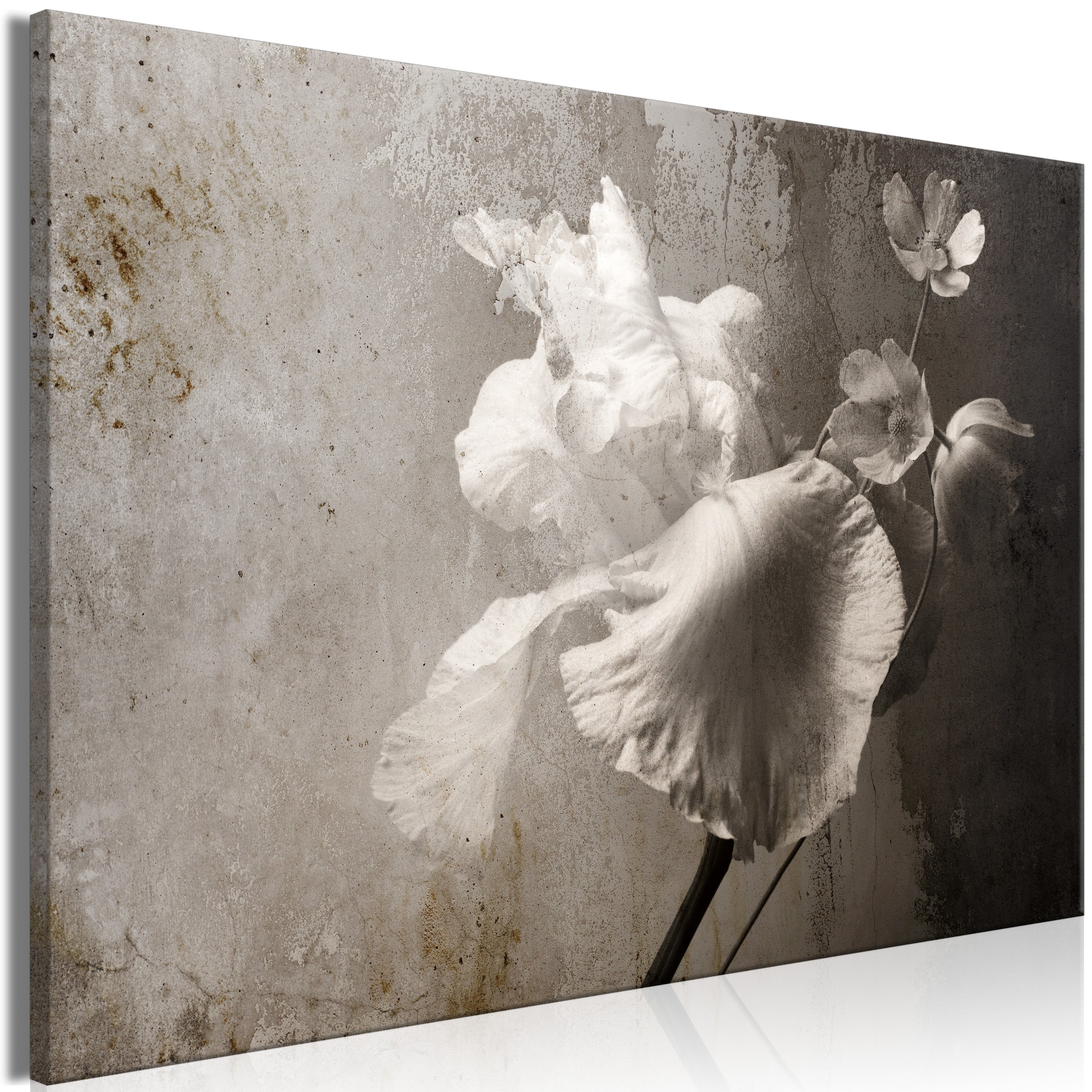 Canvas Print Venetian Splendor Wide - 1 Part