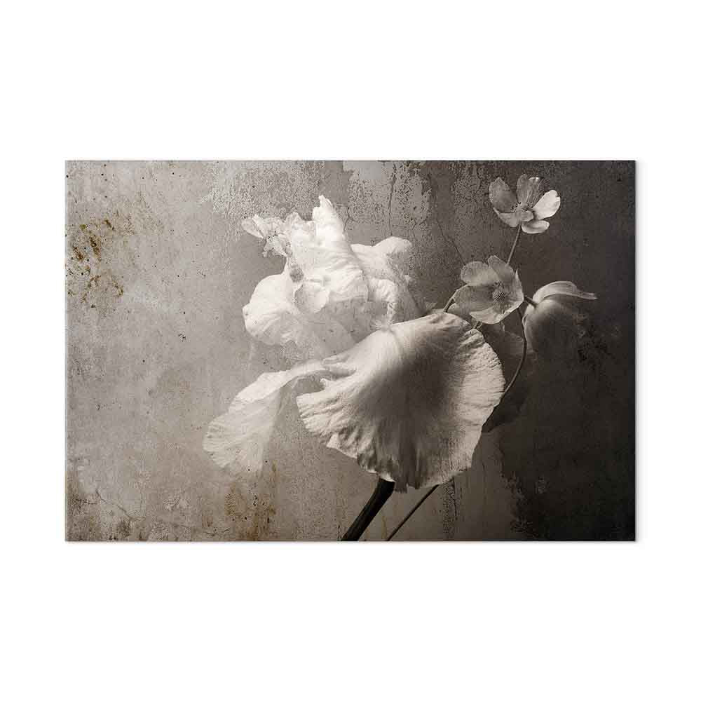 Venetian Floral Splendor Wide Canvas Print