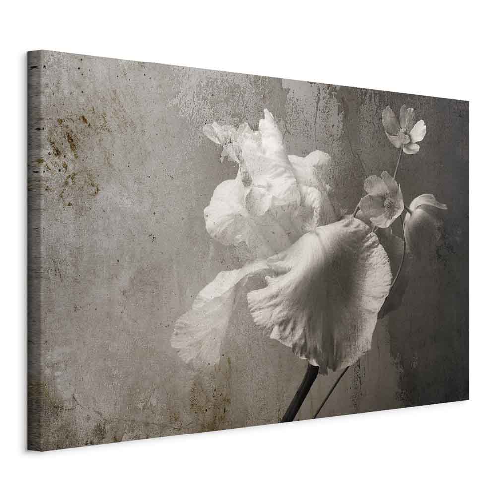 Venetian Floral Splendor Wide Canvas Print
