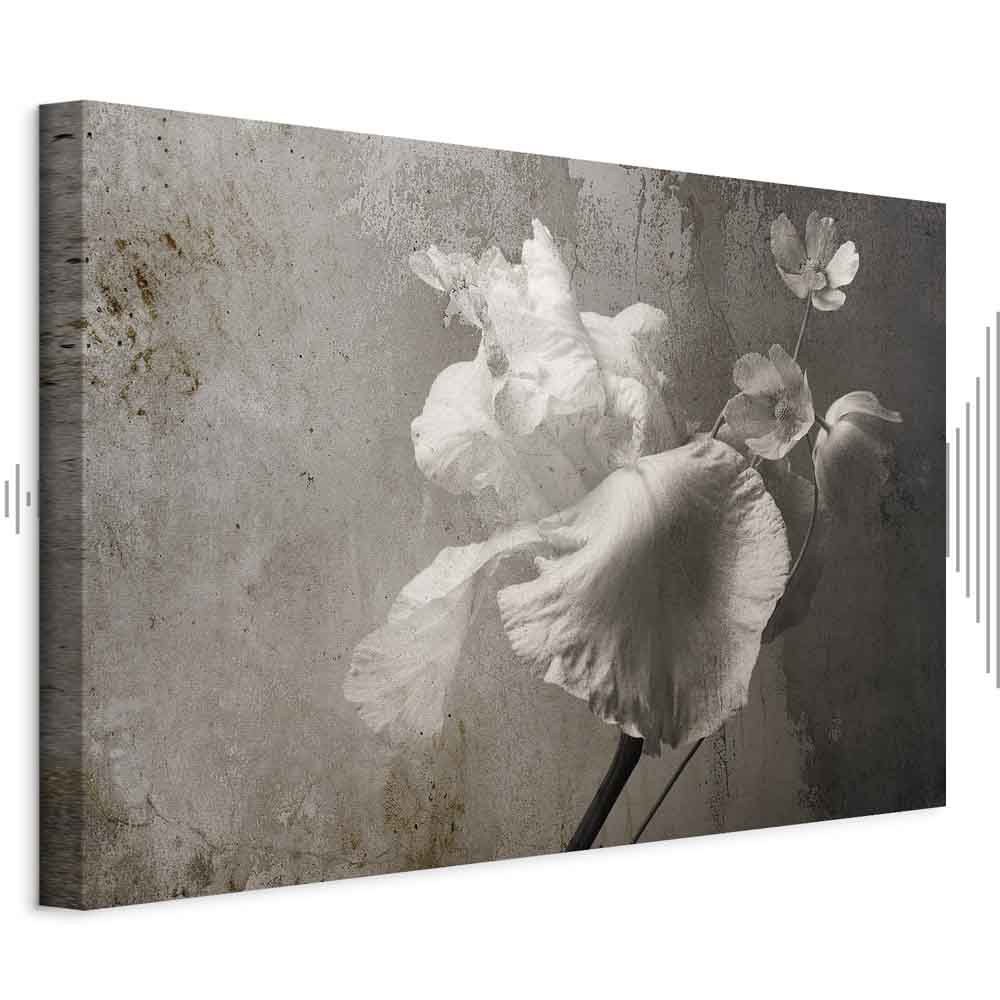 Venetian Floral Splendor Wide Canvas Print