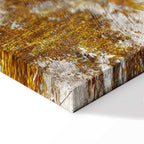 Tropical Leaves Nature Canvas Print