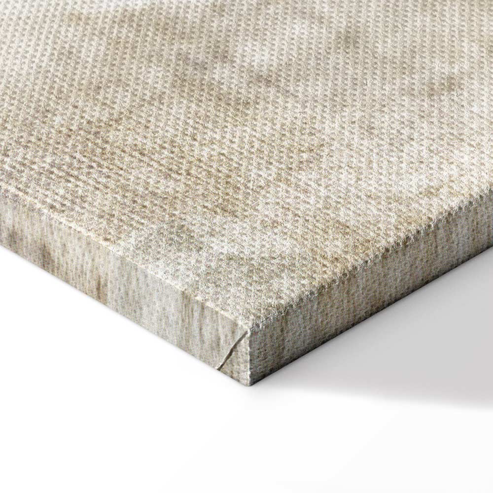 Dandelion Meadow Peaceful Canvas Print