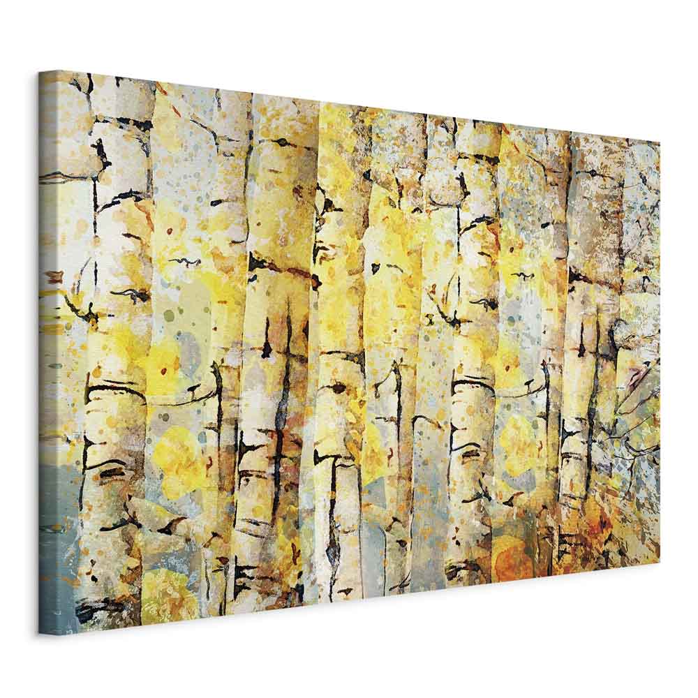 Summer Forest Landscape Canvas Print