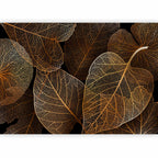 Wall Mural - Nature in My Home - First Variant