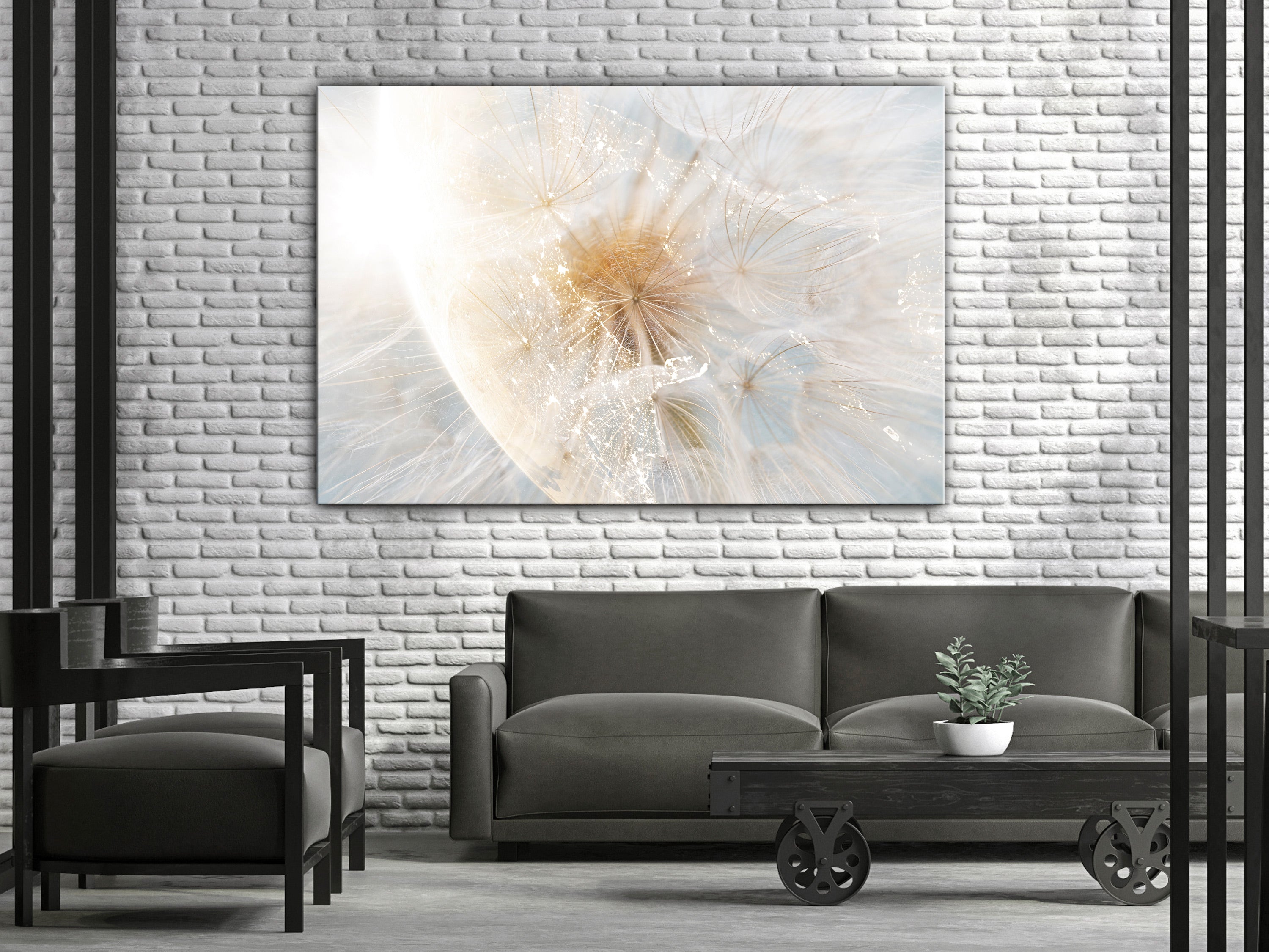 Canvas Print - Dandelion in the Sun (1 Part) Wide