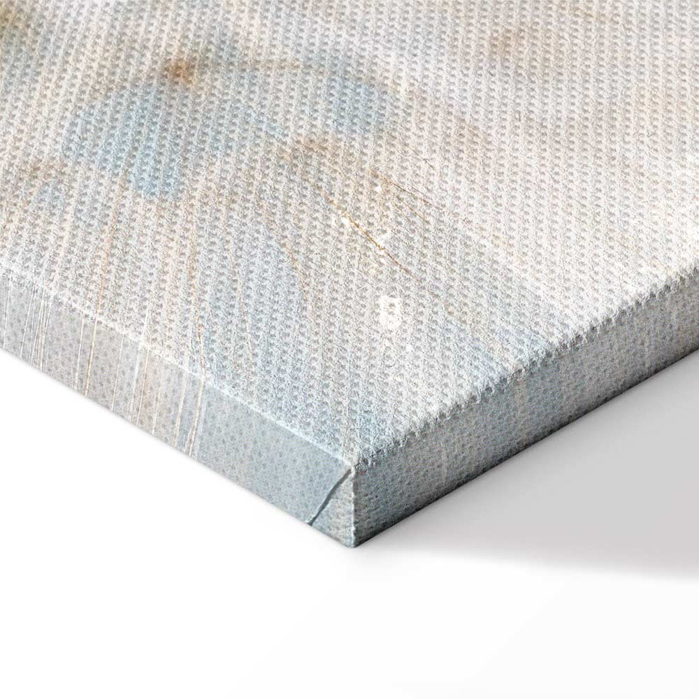 Sunlit Dandelion Nature Canvas Print