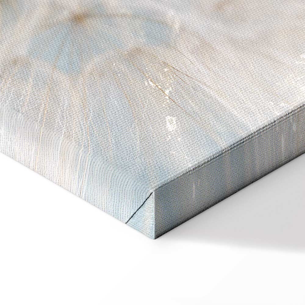 Sunlit Dandelion Nature Canvas Print