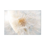 Sunlit Dandelion Nature Canvas Print