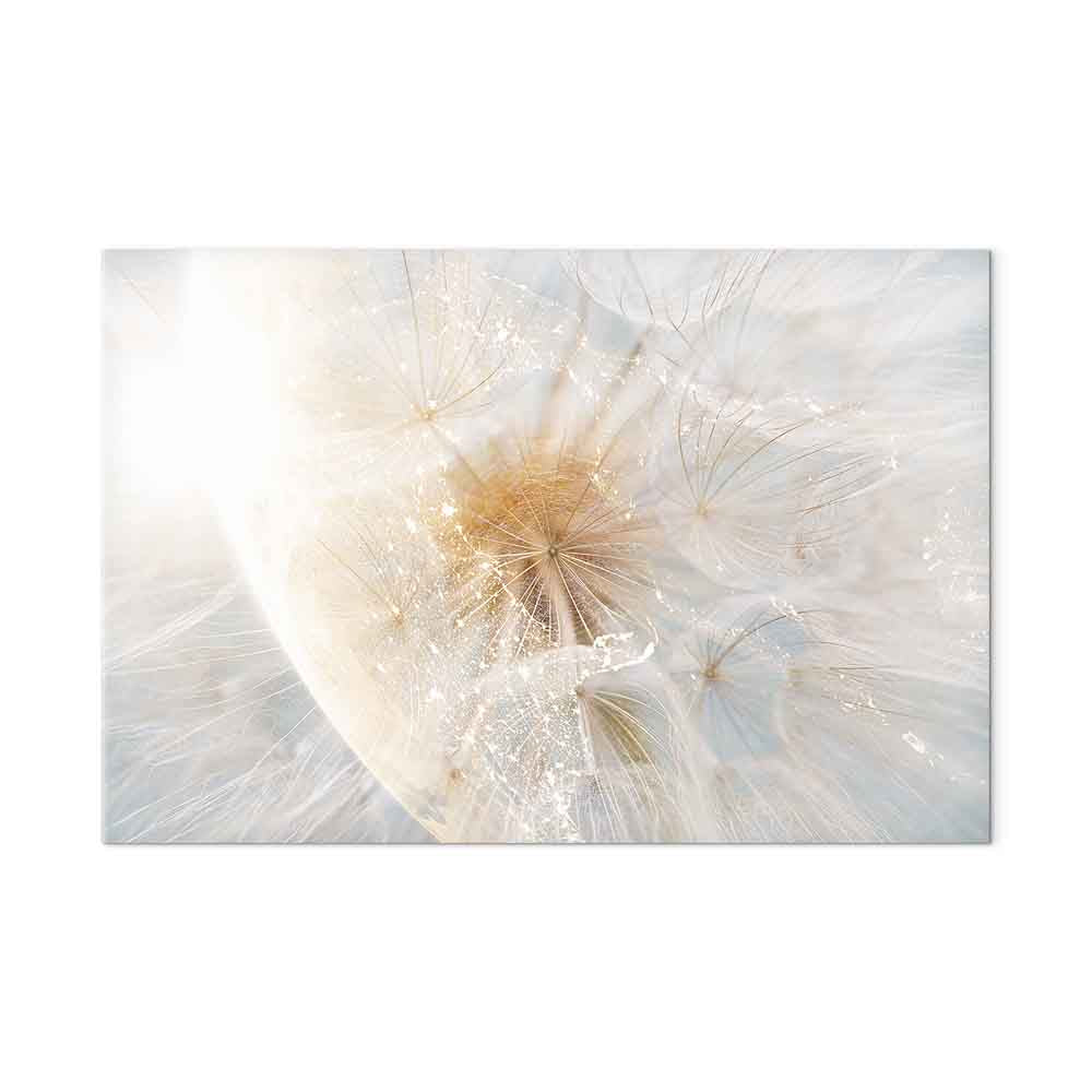 Sunlit Dandelion Nature Canvas Print