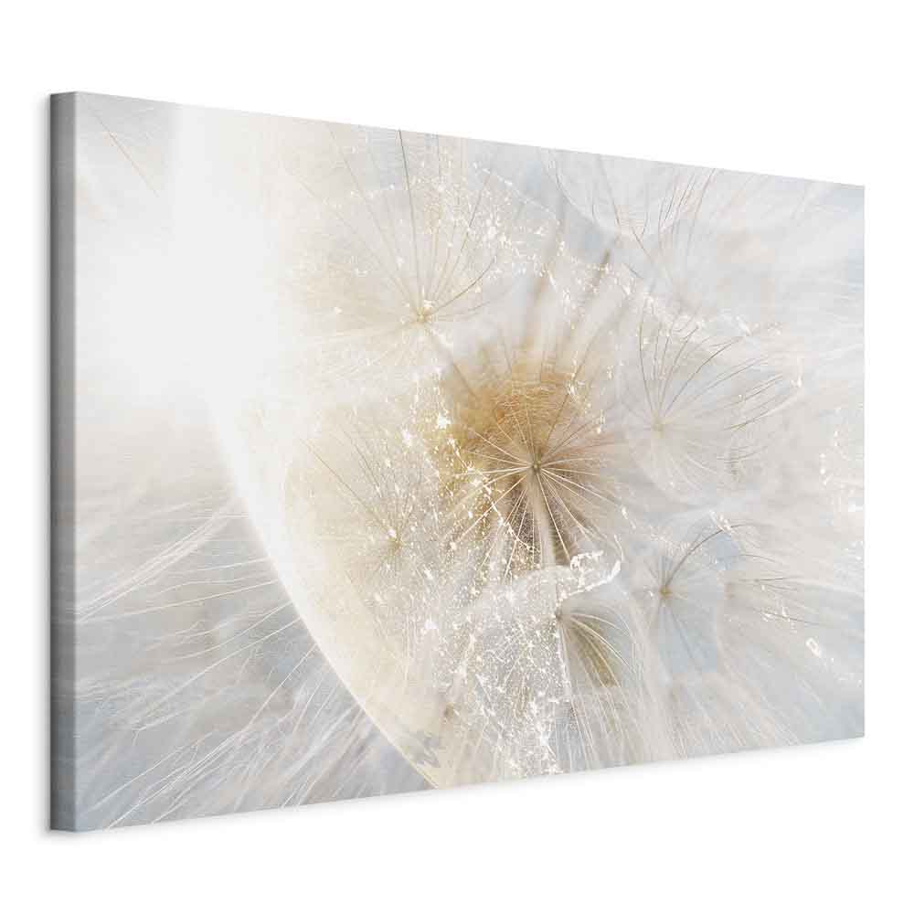 Sunlit Dandelion Nature Canvas Print